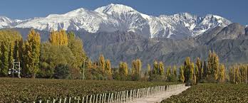 Argentina Wine & Culture